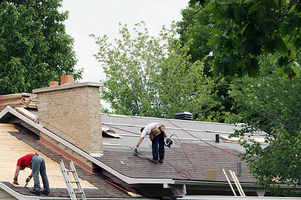 Best Storm Damage Roof Repair  in Pinewood, FL